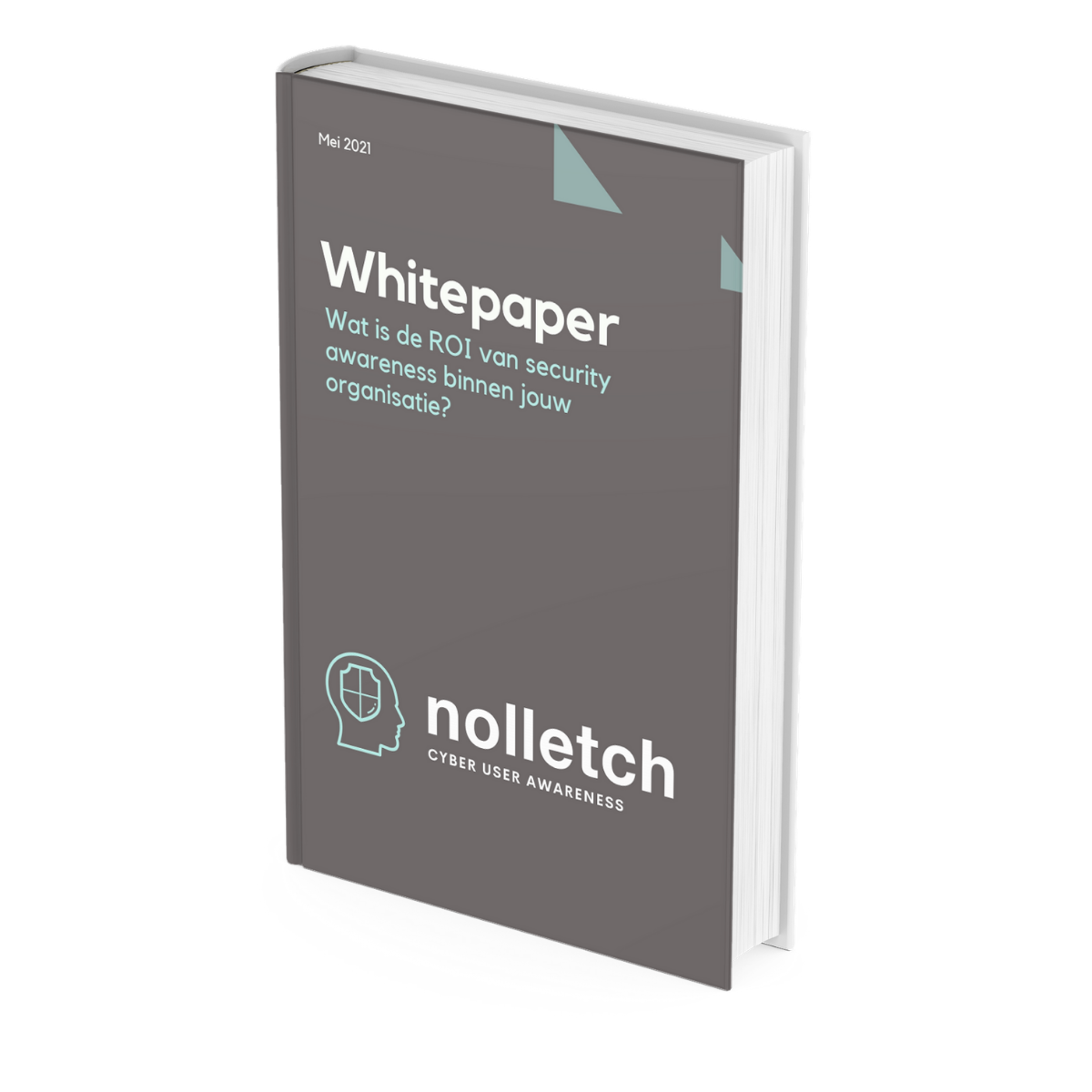 whitepaper-security-roi